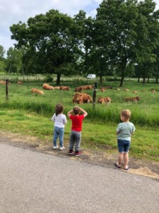 Gastouder Galjoen, Lelystad Judith van Schoote – buiten activiteiten